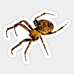 Spider cut out Sticker